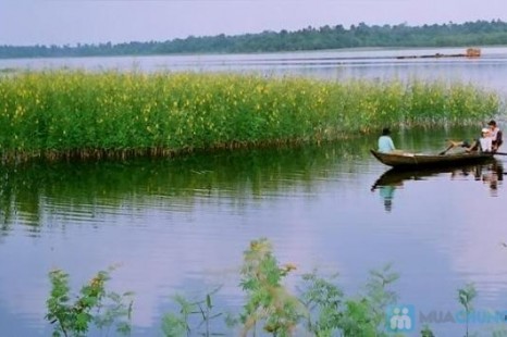 Tour MIỆT VƯỜN - RỪNG TRÀM TRÀ SƯ 3N2Đ | Cái Bè - Cần Thơ - Châu Đốc - Long Xuyên